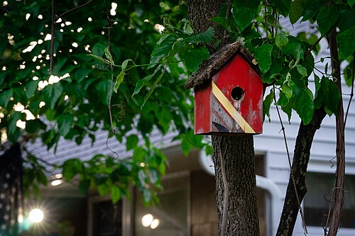 Birdhouse in Someone's Front Yard (42394092644)