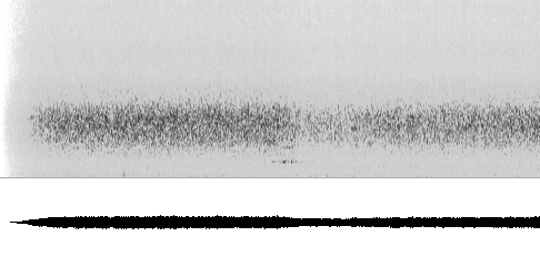 Sonogram av lokkelyd
