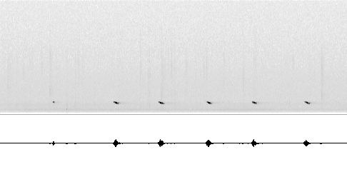 Sonogram av lokkelyd