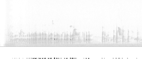 Sonogram av varsellyd