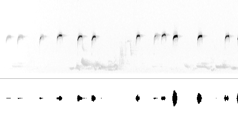 Sonogram av varsellyd