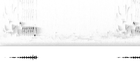 Sonogram av sang