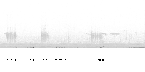 Sonogram av varsellyd