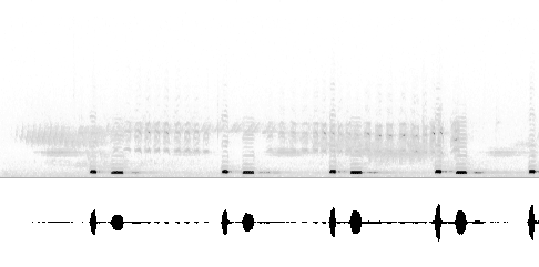 Sonogram av sang