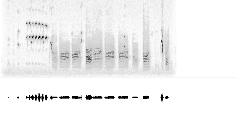 Sonogram av varsellyd