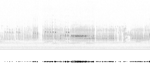 Sonogram av sang