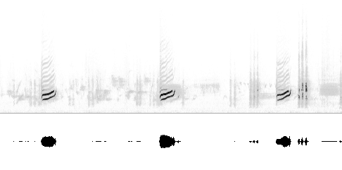 Sonogram av varsellyd