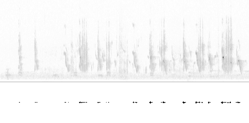 Sonogram av sang