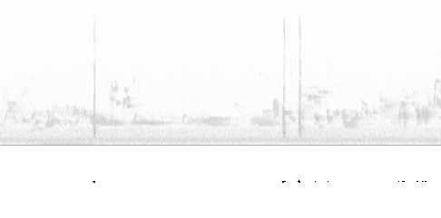 Sonogram av varsellyd