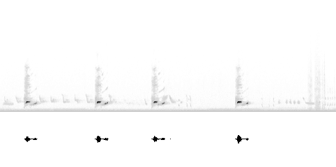 Sonogram av sang