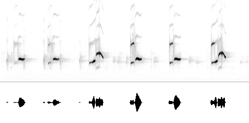 Sonogram av varsellyd