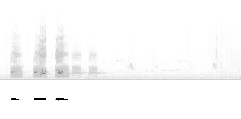 Sonogram av varsellyd