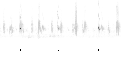 Sonogram av varsellyd