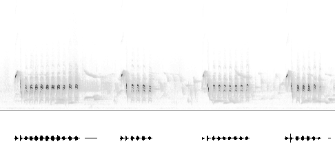Sonogram av varsellyd