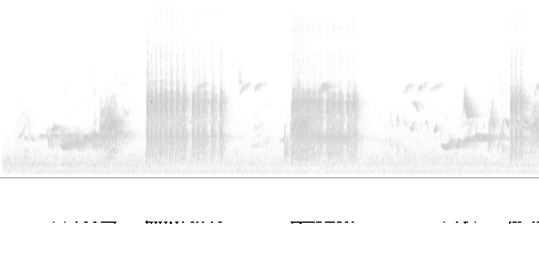 Sonogram av varsellyd