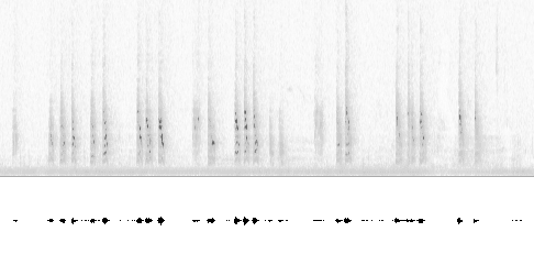 Sonogram av sang