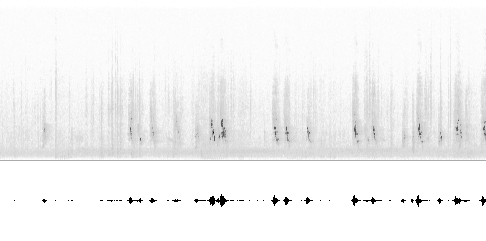Sonogram av varsellyd
