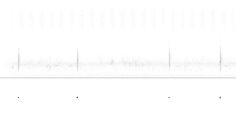 Sonogram av lokkelyd