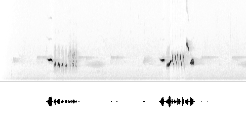 Sonogram av varsellyd