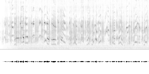 Sonogram av varsellyd