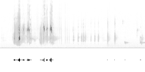 Sonogram av varsellyd