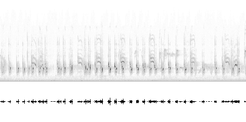 Sonogram av varsellyd