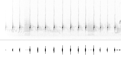 Sonogram av varsellyd