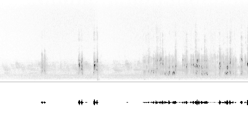 Sonogram av sang