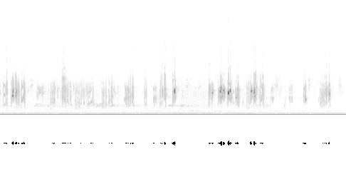 Sonogram av varsellyd