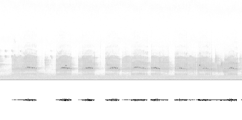 Sonogram av varsellyd